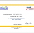 Ingrandire l'immagine: certificate 6