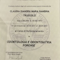 Ingrandire l'immagine: certificate 2