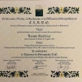 Ingrandire l'immagine: certificate 1