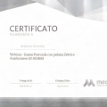 Ingrandire l'immagine: certificate 11