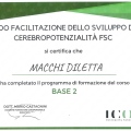Ingrandire l'immagine: certificate 4