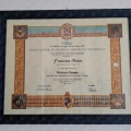 Ingrandire l'immagine: certificate 1