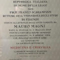 Ingrandire l'immagine: certificate 1