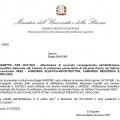 Ingrandire l'immagine: certificate 2