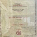 Ingrandire l'immagine: certificate 1