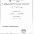 Ingrandire l'immagine: certificate 25