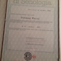 Ingrandire l'immagine: certificate 3