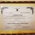 Ingrandire l'immagine: certificate 2