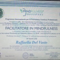 Ingrandire l'immagine: certificate 3