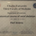 Ingrandire l'immagine: certificate 5