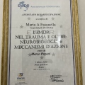 Ingrandire l'immagine: certificate 4