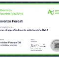 Ingrandire l'immagine: certificate 5