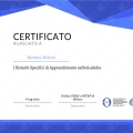 Ingrandire l'immagine: certificate 7