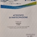 Ingrandire l'immagine: certificate 5