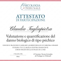 Ingrandire l'immagine: certificate 12