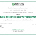Ingrandire l'immagine: certificate 8
