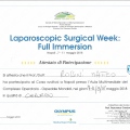 Ingrandire l'immagine: certificate 7