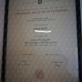 Ingrandire l'immagine: certificate 1