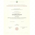 Ingrandire l'immagine: certificate 19