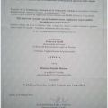 Ingrandire l'immagine: certificate 57