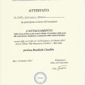 Ingrandire l'immagine: certificate 11