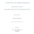 Ingrandire l'immagine: certificate 3