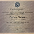 Ingrandire l'immagine: certificate 8