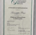 Ingrandire l'immagine: certificate 12