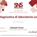Ingrandire l'immagine: certificate 6