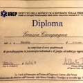 Ingrandire l'immagine: certificate 1