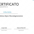 Ingrandire l'immagine: certificate 6