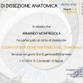 Ingrandire l'immagine: certificate 12