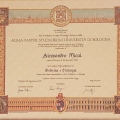 Ingrandire l'immagine: certificate 1