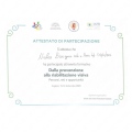 Ingrandire l'immagine: certificate 1