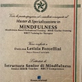 Ingrandire l'immagine: certificate 1