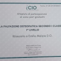 Ingrandire l'immagine: certificate 5