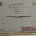 Ingrandire l'immagine: certificate 3