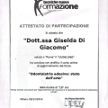 Ingrandire l'immagine: certificate 2