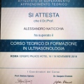 Ingrandire l'immagine: certificate 4