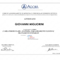 Ingrandire l'immagine: certificate 2