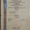 Ingrandire l'immagine: certificate 1