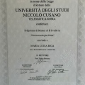 Ingrandire l'immagine: certificate 2