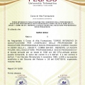 Ingrandire l'immagine: certificate 5
