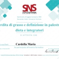 Ingrandire l'immagine: certificate 2