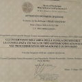 Ingrandire l'immagine: certificate 3