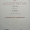Ingrandire l'immagine: certificate 2