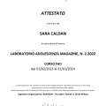 Ingrandire l'immagine: certificate 3
