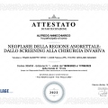 Ingrandire l'immagine: certificate 11