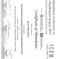Ingrandire l'immagine: certificate 9