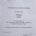 Ingrandire l'immagine: certificate 5